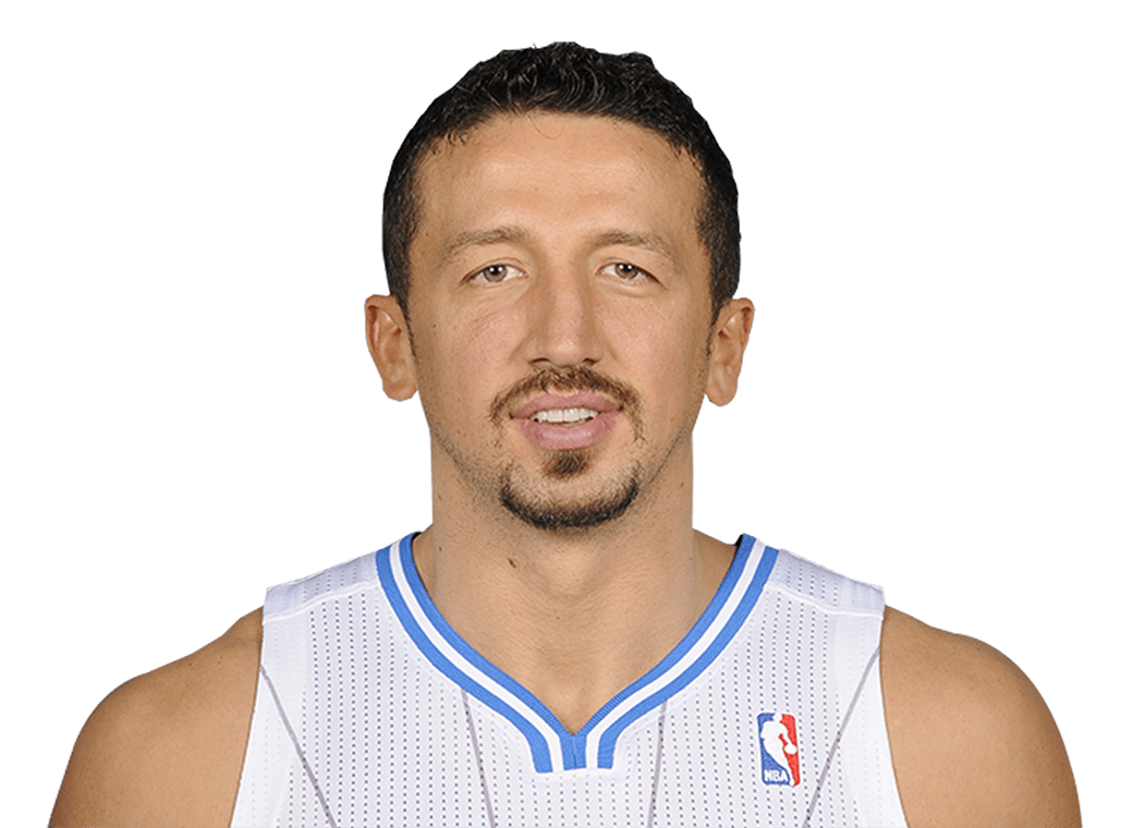 Hedo Turkoglu headshot